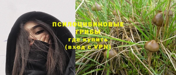 мяу мяу мука Бородино