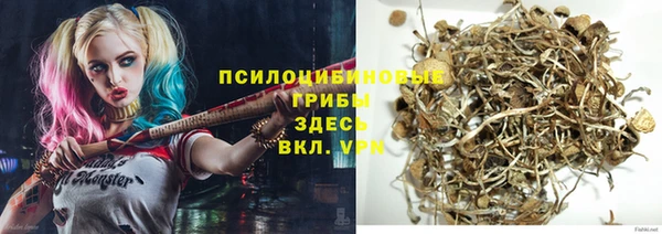 мяу мяу мука Бородино