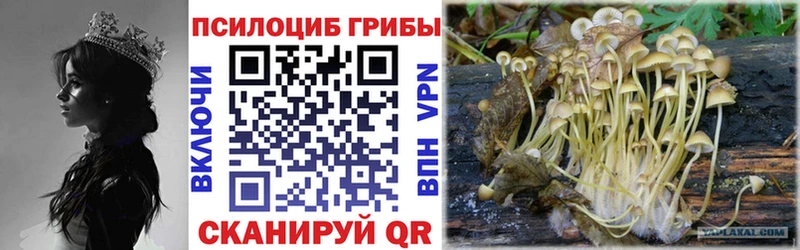 Псилоцибиновые грибы прущие грибы  Купить закладки  Харабали 